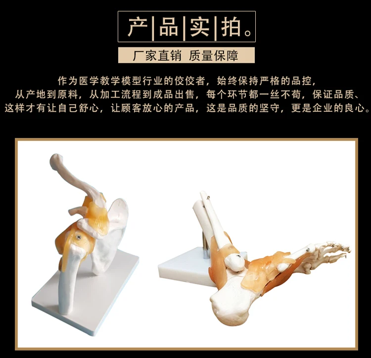 Съемная модель коленного сустава handt/foot/shoulder/hip joint обучающая модель