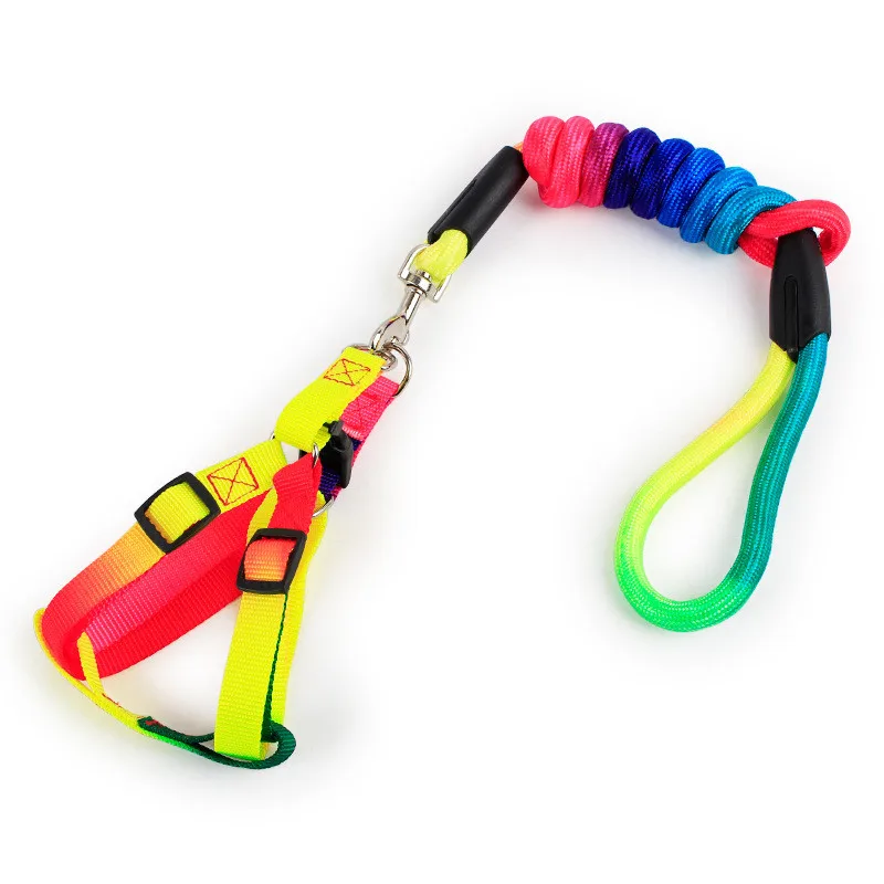 

New Arrival Rainbow-colored Breakaway Nylon Cat Perro Pet Harness And Leash Set For Kittens Teddy Chihuahua In Dog Supplies