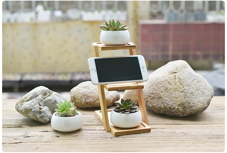 JAROWN Simulation Succulent Plant Ceramic Small Flower Pot Creative Bamboo Frame Bonsai Home Decoration Wedding Decor (6)