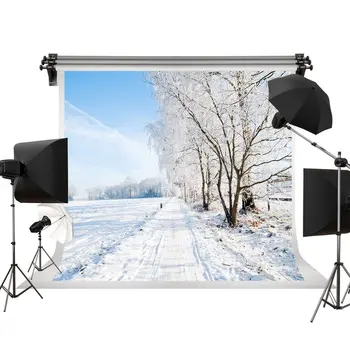 

winter snow path tree blue sky backdrops Vinyl cloth High quality Computer print wall photography studio background