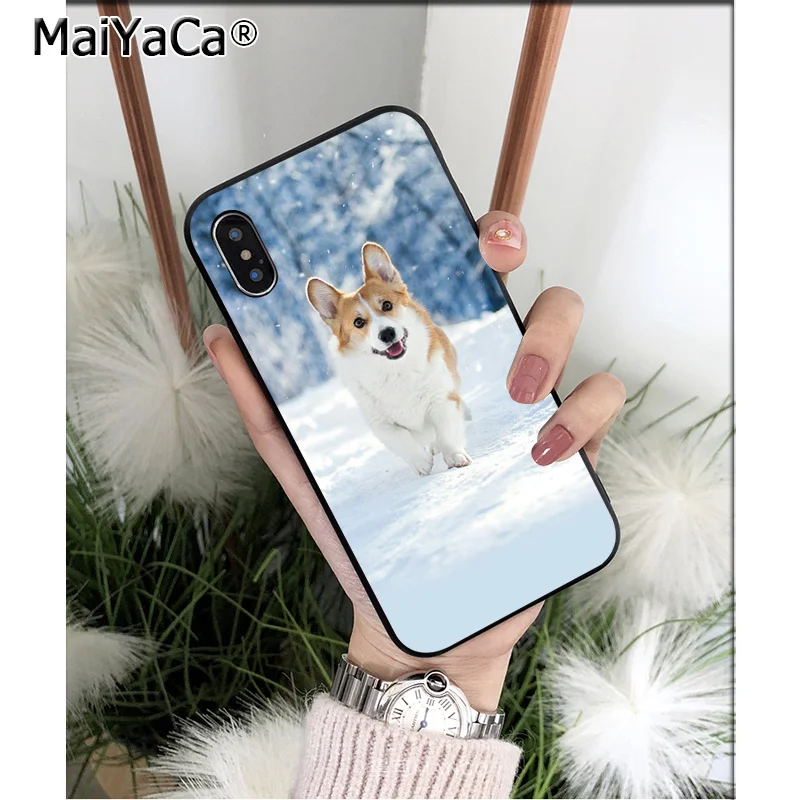 Anime Corgi dog