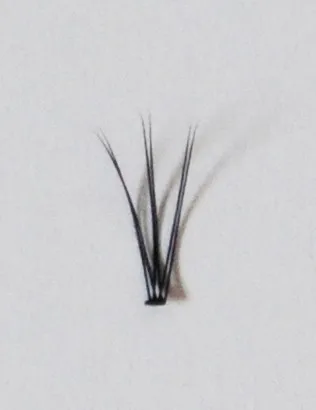 STE-003