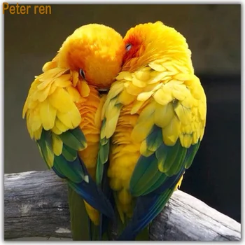 

Peter ren Diamond embroidery kit Diy diamond painting Cross stitch full 3d square drill rhinestone Diamond Mosaic Yellow parrot