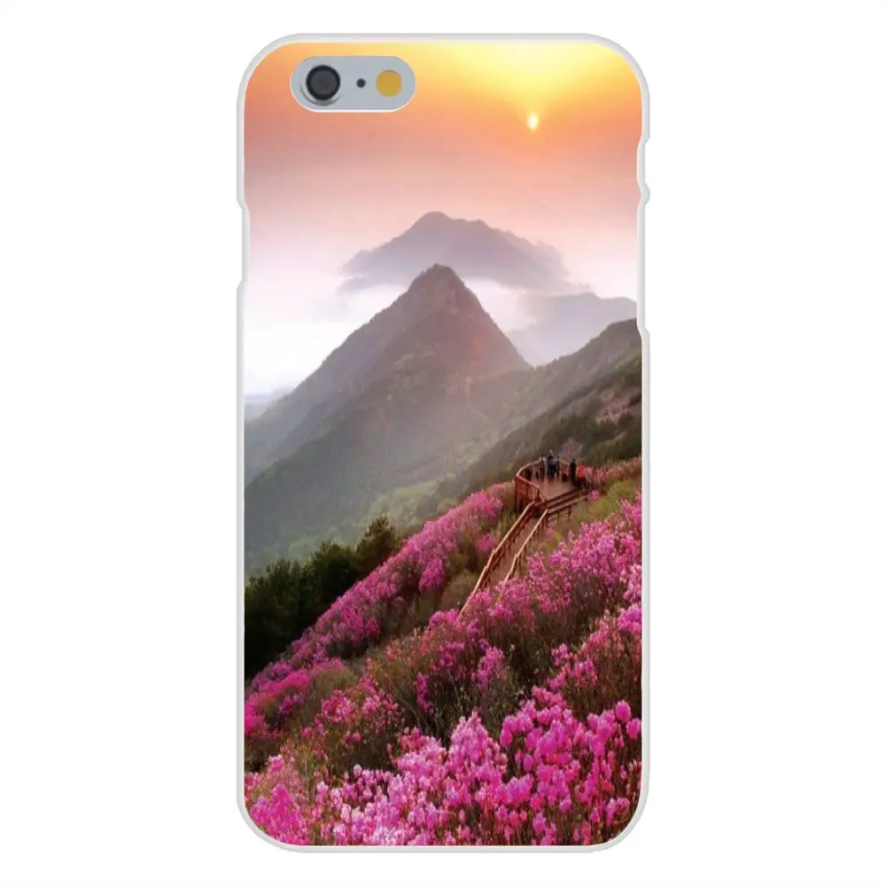 20140128133954_chJGA.thumb.700_0