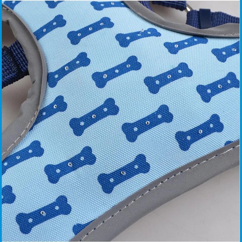 led dog collar (1)