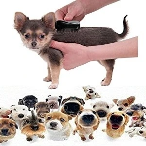 Detangle Pet Grooming Massager & Brush, Black