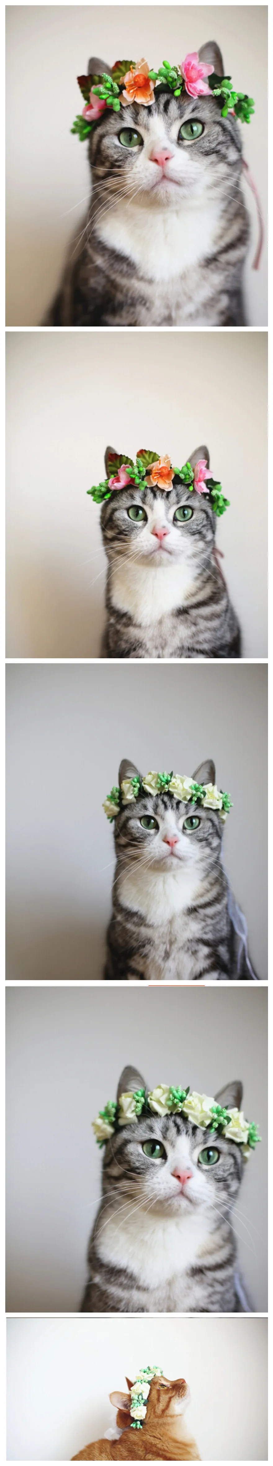 [MPK Store] Цветочная повязка на голову для кошек, свадебные ошейники для питомцев, ошейники для кошек