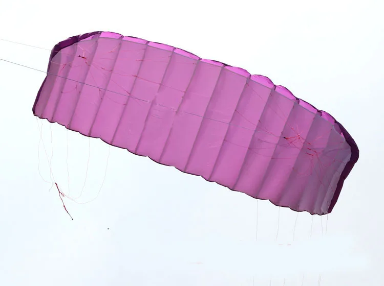 Высокое качество 5 квадратных метров Quad Line Parafoil кайт с летающими инструментами мощность коса парусный кайтсерф фиолетовый спортивный пляж
