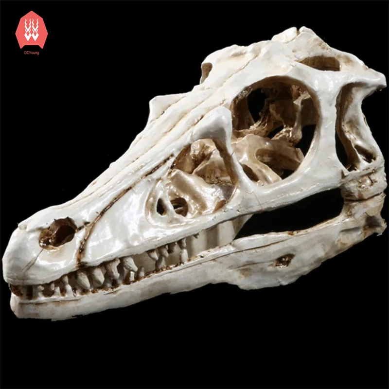 

Creative Resin Hadrosaur Skull Skeleton Head Figurines Sculpture Halloween Home Decoration Dinosaur Craft Statues Collection