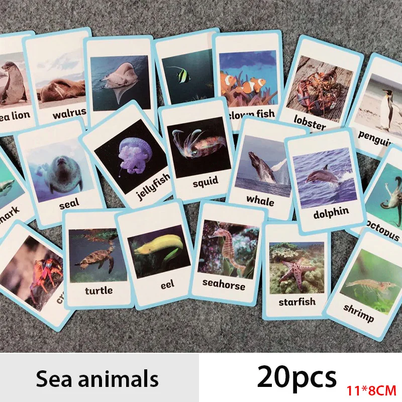 

Montessori English Sea Animal Flash Card Pocket Cards Learning Educational Toys for Children Word Picture Match Game Baby Gifts