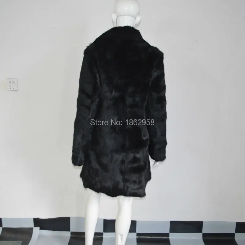 SJ526 (11)