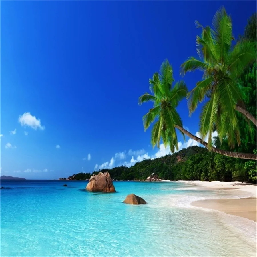 

Laeacco Summer Party Blue Sky Sea Beach Palm Tree Scenic Photography Backgrounds Custom Photographic Backdrops For Photo Studio