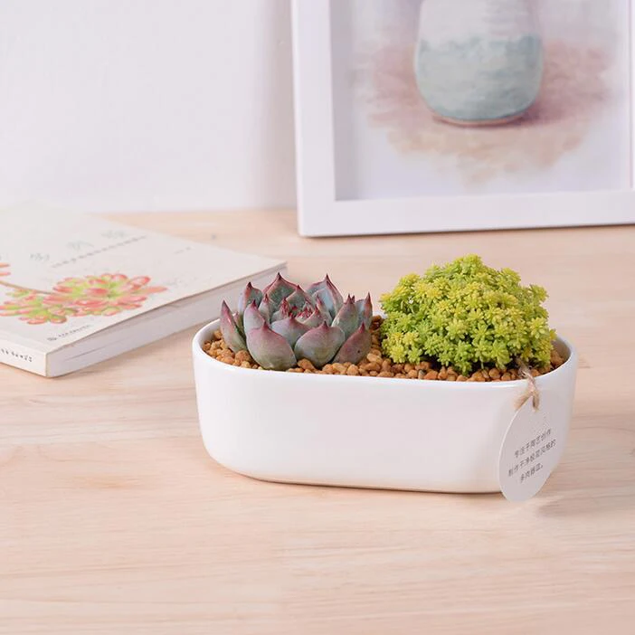 Hot sale rectangular round edge ceramic flower pot white cermaic