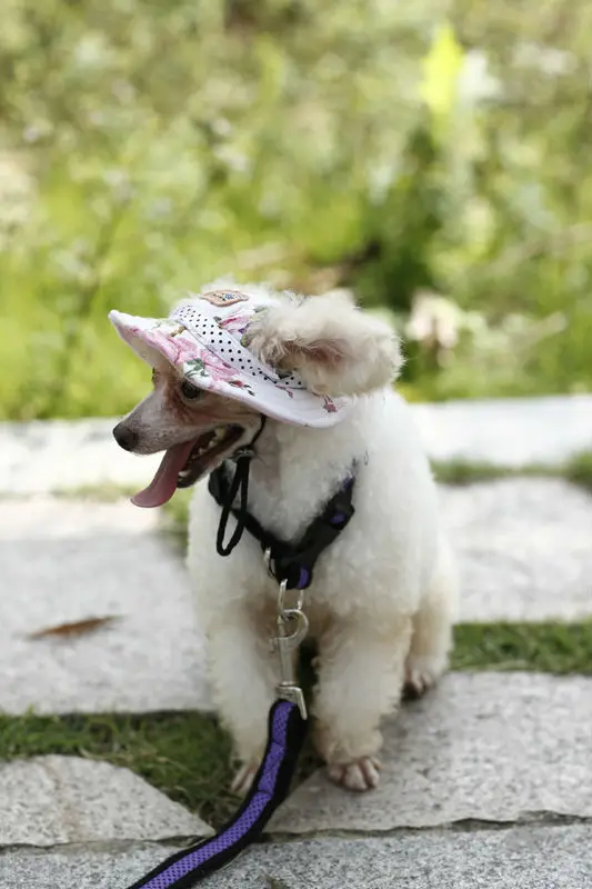 _K3A9727