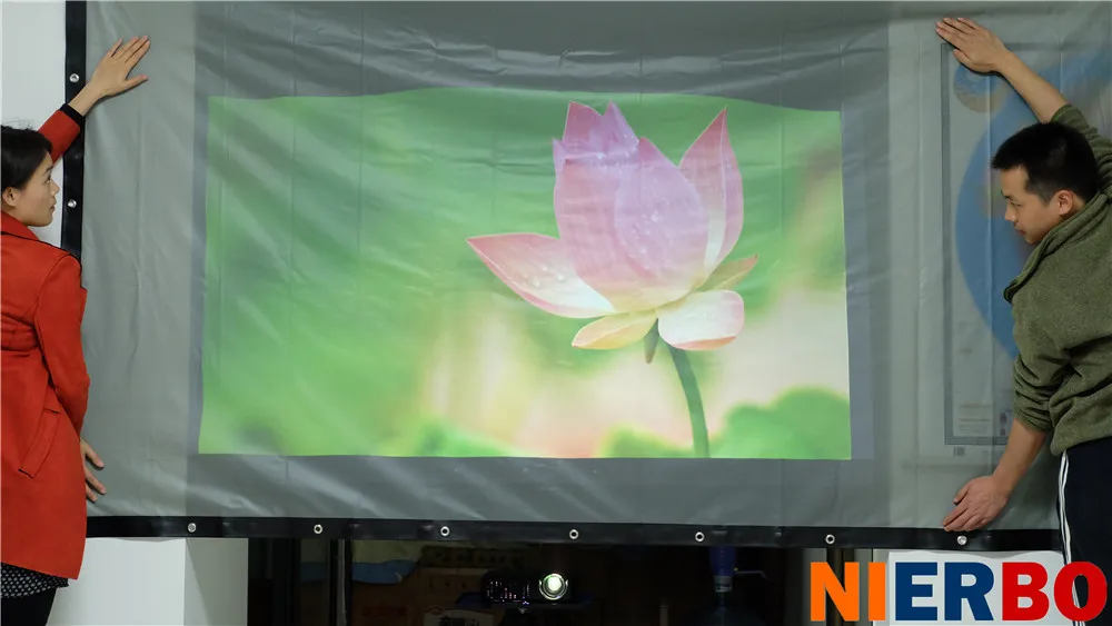 Projector Details