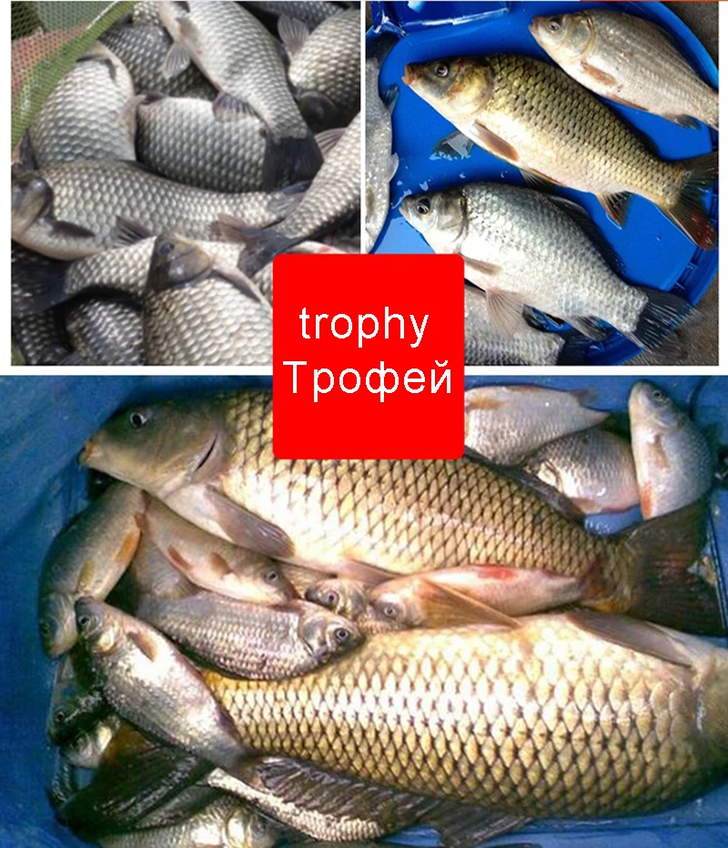 Vara de Pesca Vara de Pesca de Carbono Peche a la Equipamento de Pesca 12 13 m Alimentador Telescópica Ultralong de Carbono Carpe Olta Gan005 8 - 9 10 11 14 de pesca de carbono peche a la