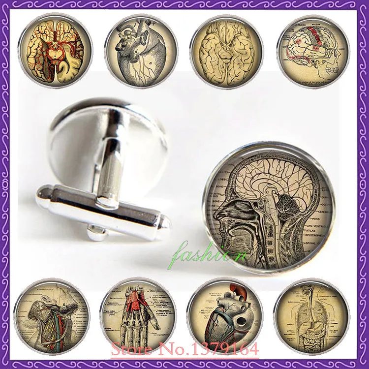 

Hot Anatomical brain cufflinks,human brain anatomy cuff links neurologist gift cufflinks biology medical student gift,neurology