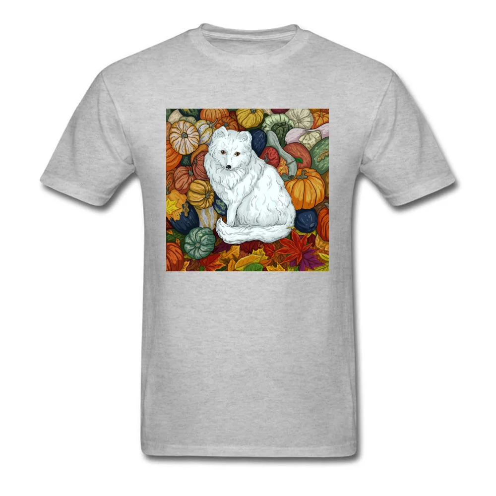 Arctic Fox. October_grey