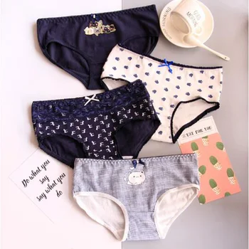 

4pcs/ pack Women Cotton Panties Lady Sexy Briefs Underwear Women Intimates for Female