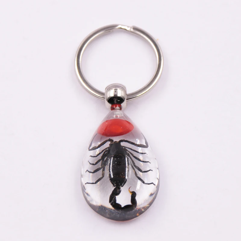 Fashion high quality Innovative design scorpions transparent tear drop resin luminous key ring chain