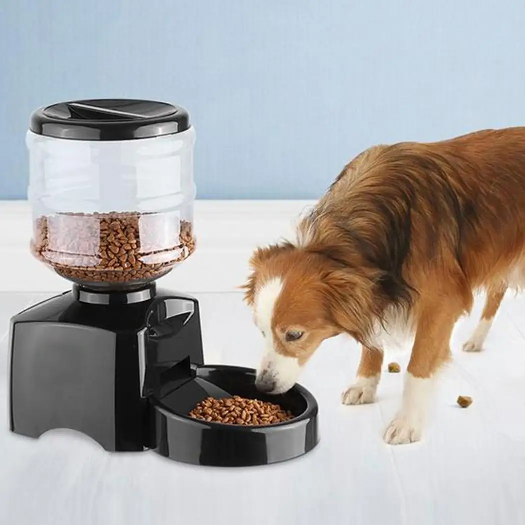 

Automatic Dog Cat Rabbit Small Animal 5.5L Black Eating Reminder 300g 25g Food Dispenser Pet Feeder