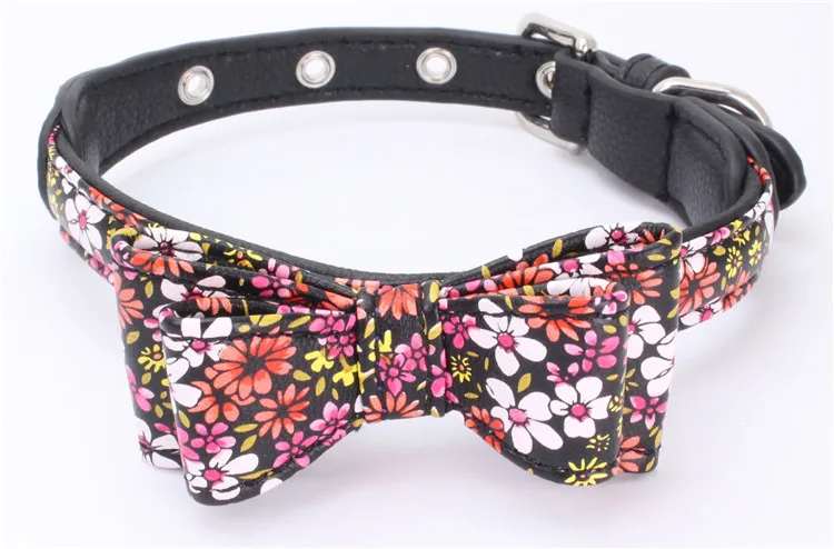 dog collar (11)