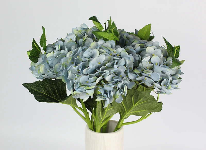 5lightblue