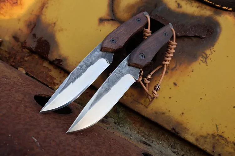 TB2SurRkXXXXXXcXXXXXXXXXXXX_!!533858866