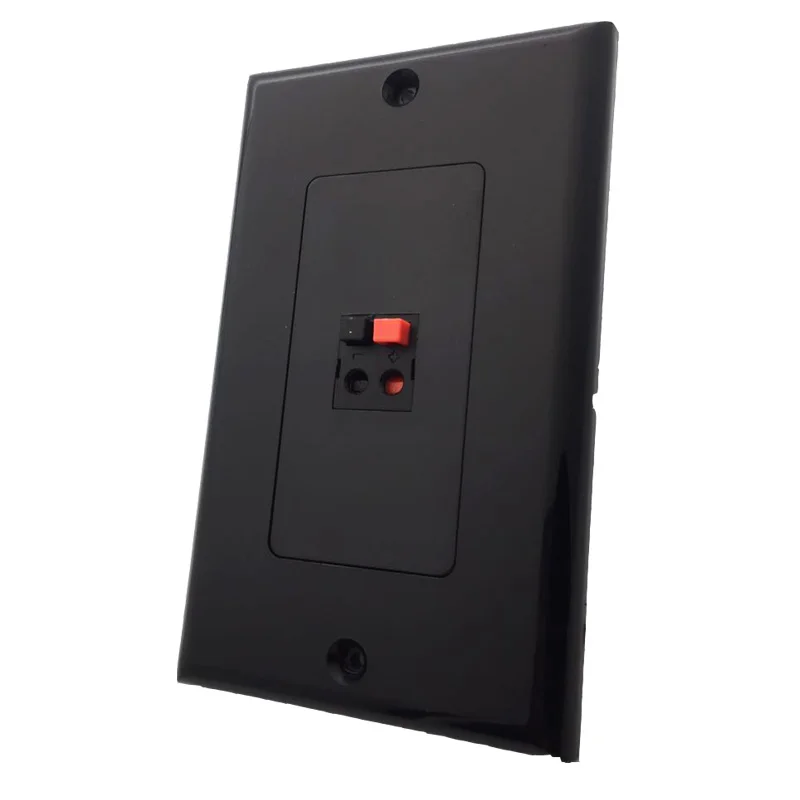 1speaker