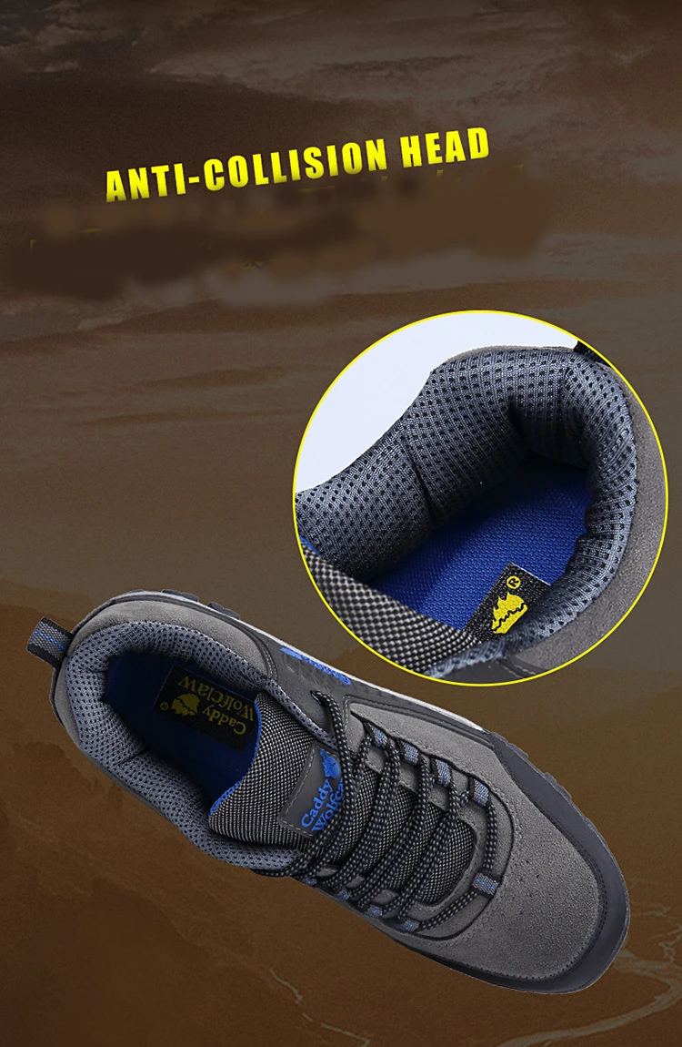 9120779547_200365450