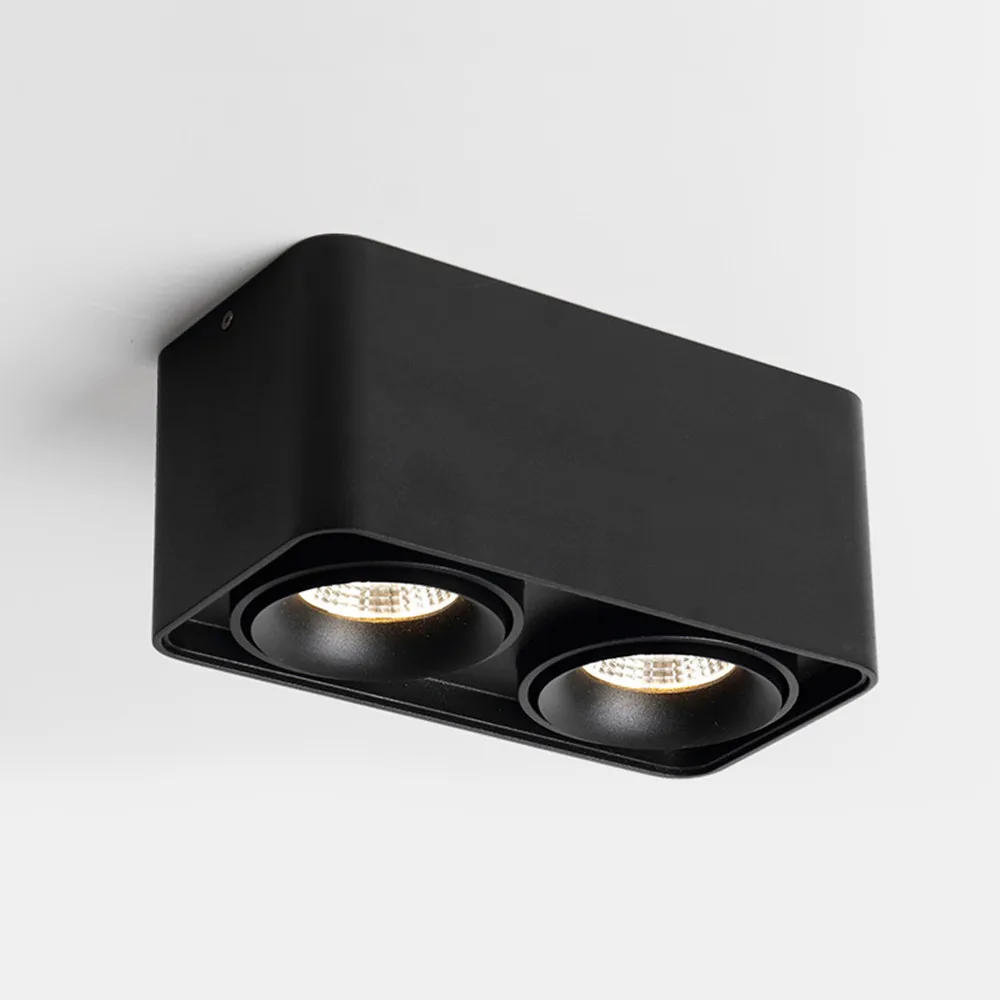 LED Surface downlight (21)