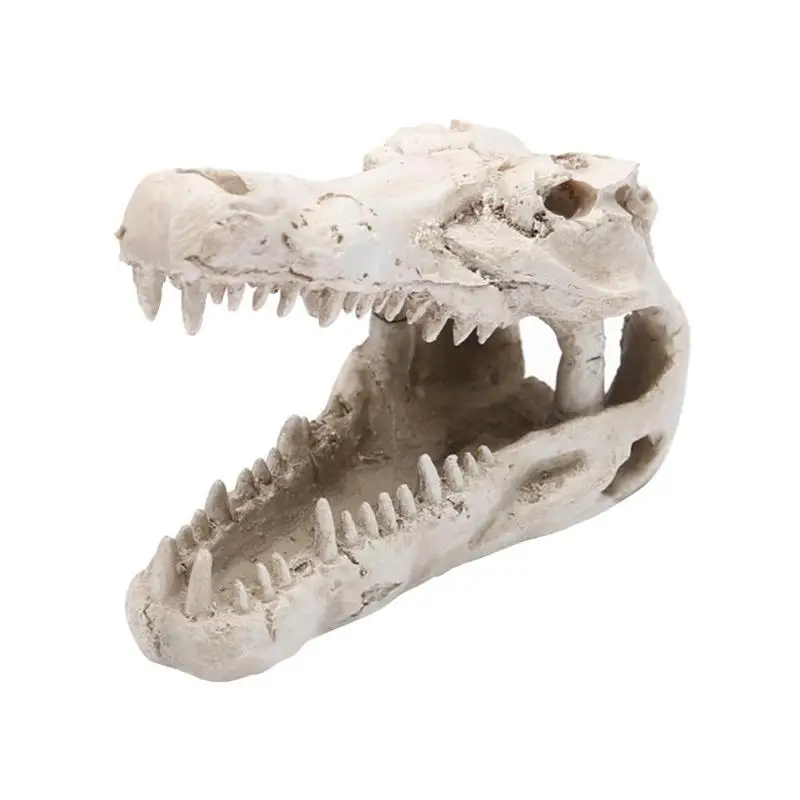 

Dinosaur Crocodile Skull Sculpture Statue Skeleton Model Aquarium Ornaments G1
