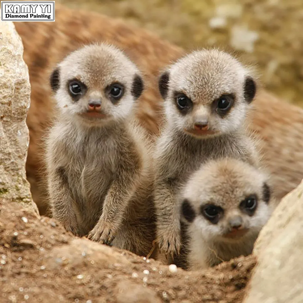 

KAMY YI DIY 5D Full Diamond Painting Cross Stitch meerkat Mosaic Diamond Embroidery Needlework Patterns Rhinestone kits YY