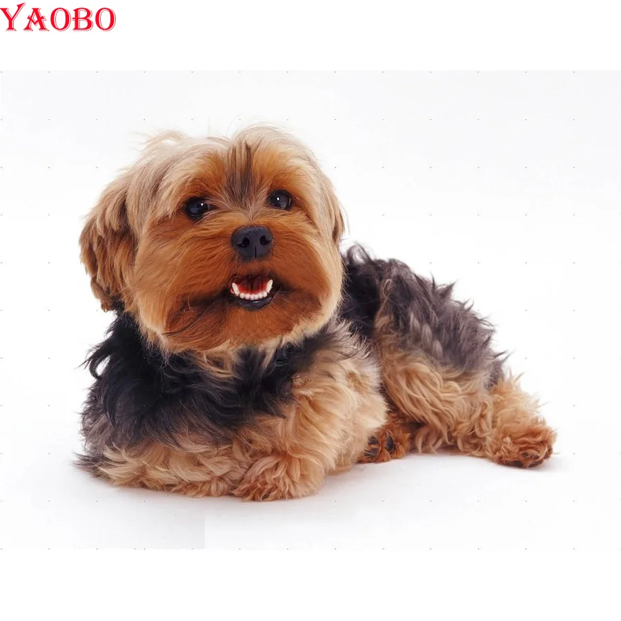 

full square round drill 5d diy diamond Painting Yorkshire Terrier Cross Stitch Rhinestone pictures mosaic diamond embroidery