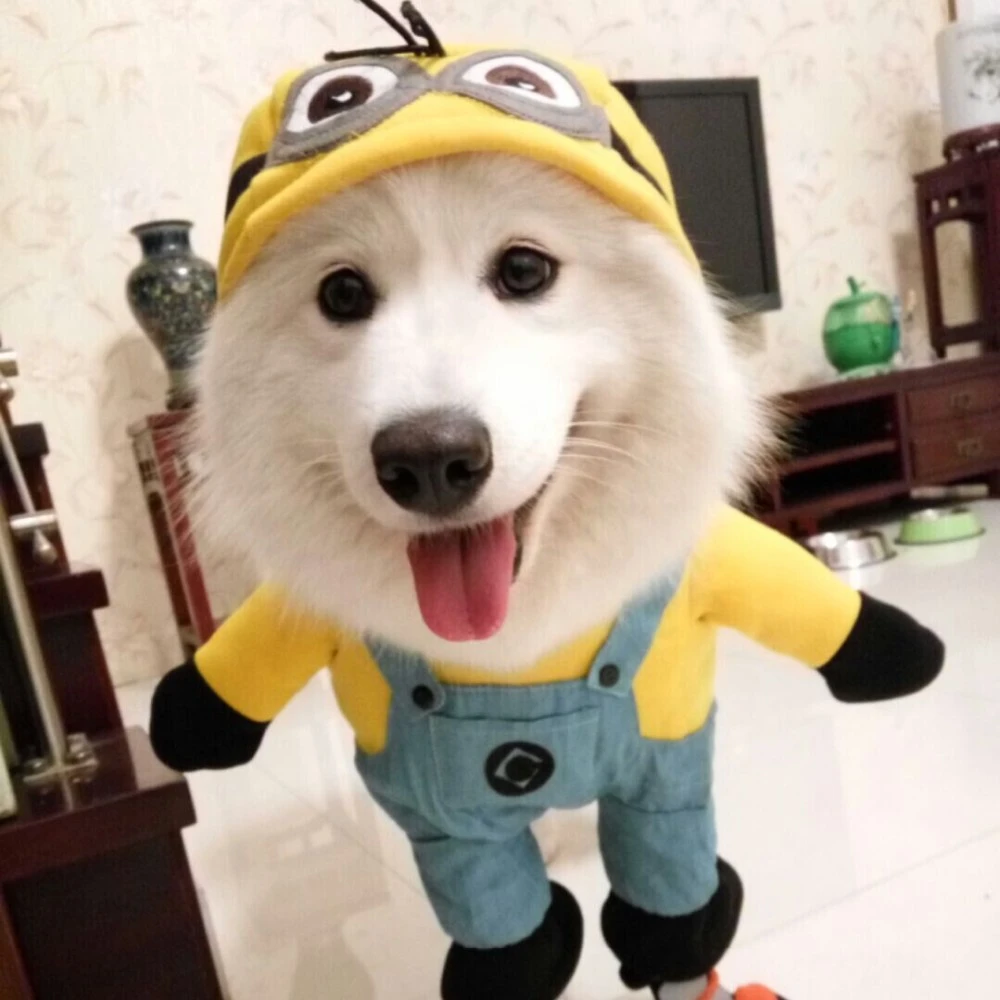 面白いハロウィンペット猫犬手下衣装ミディアム大きな犬子犬パーティージャケット服ゴールデンレトリバー大型犬服 Clothes Dog Clothes For Larger Childrenclothes Drier Aliexpress