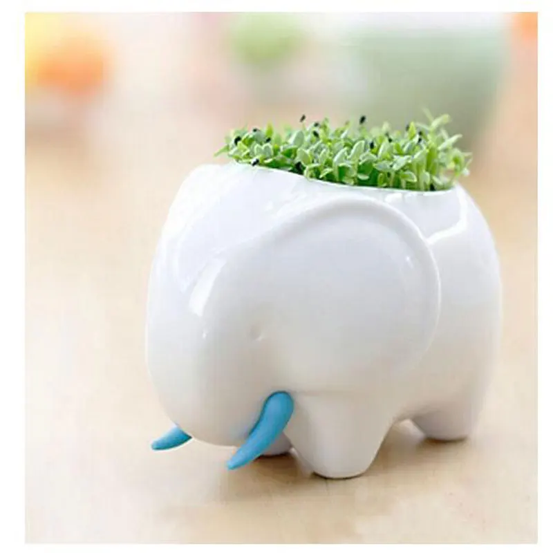 

Ceramic Flower Pots Succulent Plants Pot Garden Bonsai Planter Landscape DIY Animal Elephant Rhinoceros for Desktop Planting