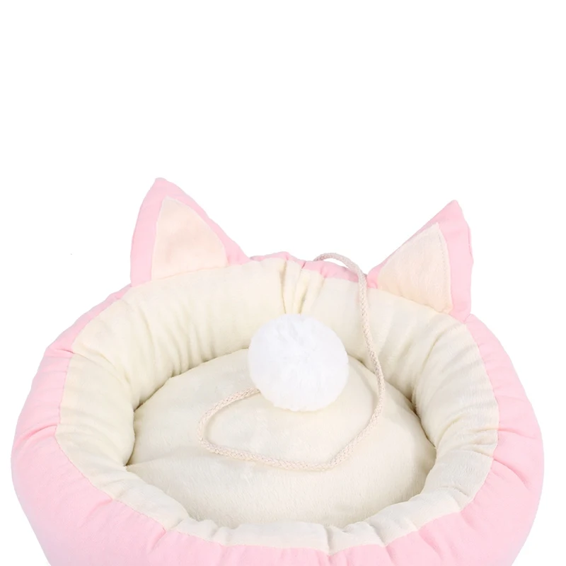bed cat