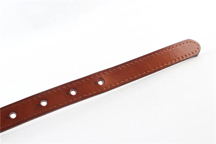 BELT (1)
