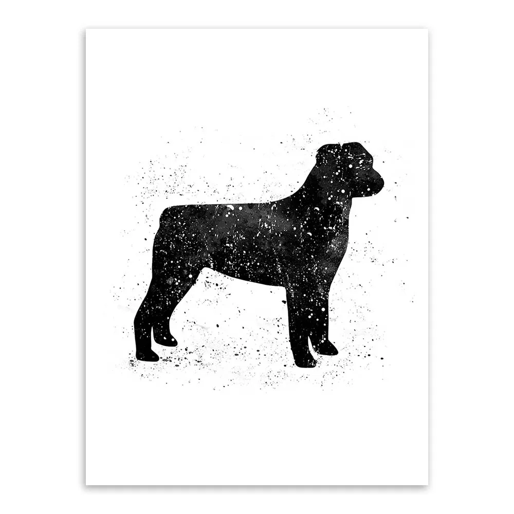 Gambar Mewarnai Gambar Anjing Laut Sirkus Contoh Anak Paud Sketsa Gambar Mewarnai Gambar Anjing Laut Sirkus Contoh Anak Paud Sketsa