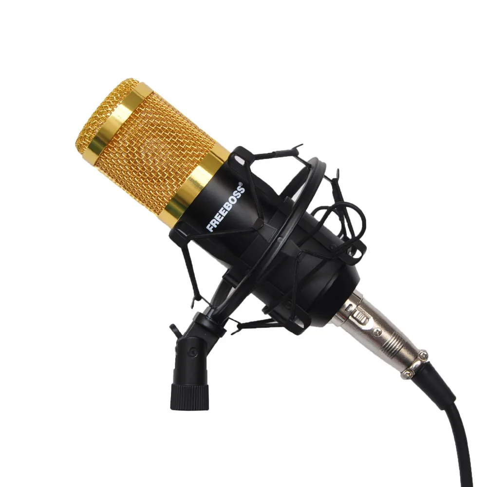 BM-800  12-1  cable microphone