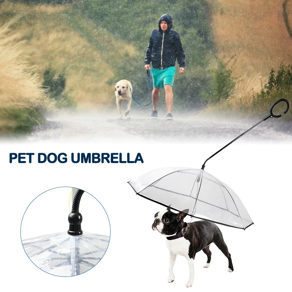 dog lead umbrella