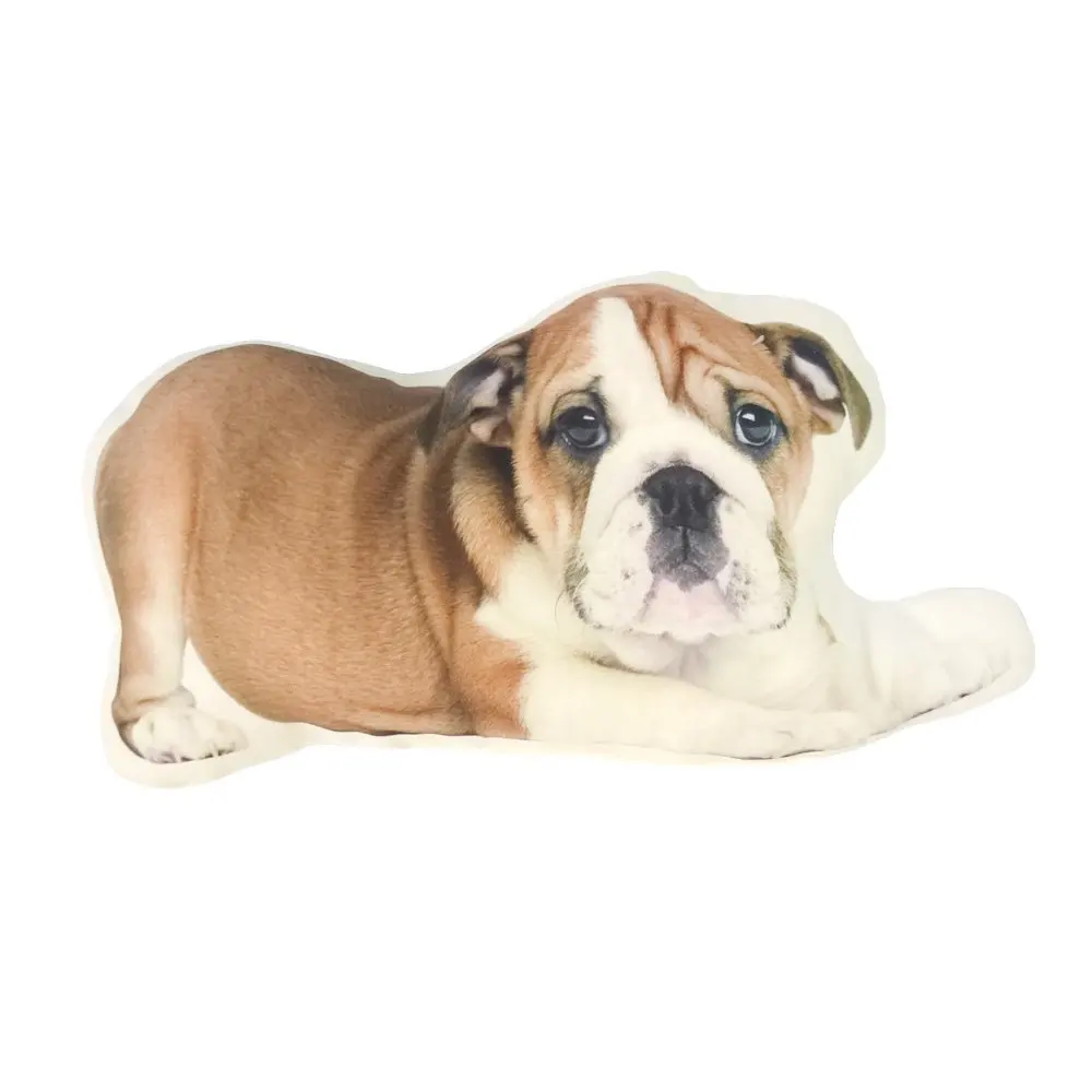 Popular Unique Sofa Pillows-Buy Cheap Unique Sofa Pillows lots Popular Unique Sofa Pillows-Buy Cheap Unique Sofa Pillows lots
