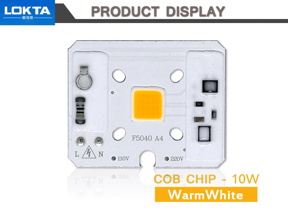 5 шт./лот 10 Вт ac220в/110 В Smart IC COB чип светодиодные лампы светильник с бусинами для DIY прожектор светильник сад газон светильник ing