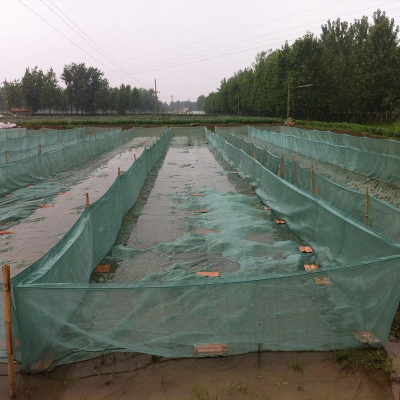 QQ20180927175009 - 