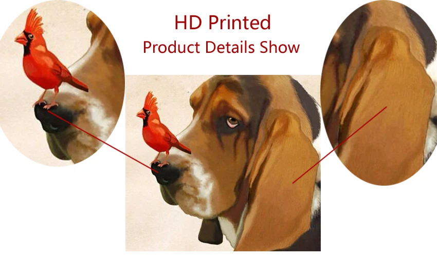 HD2