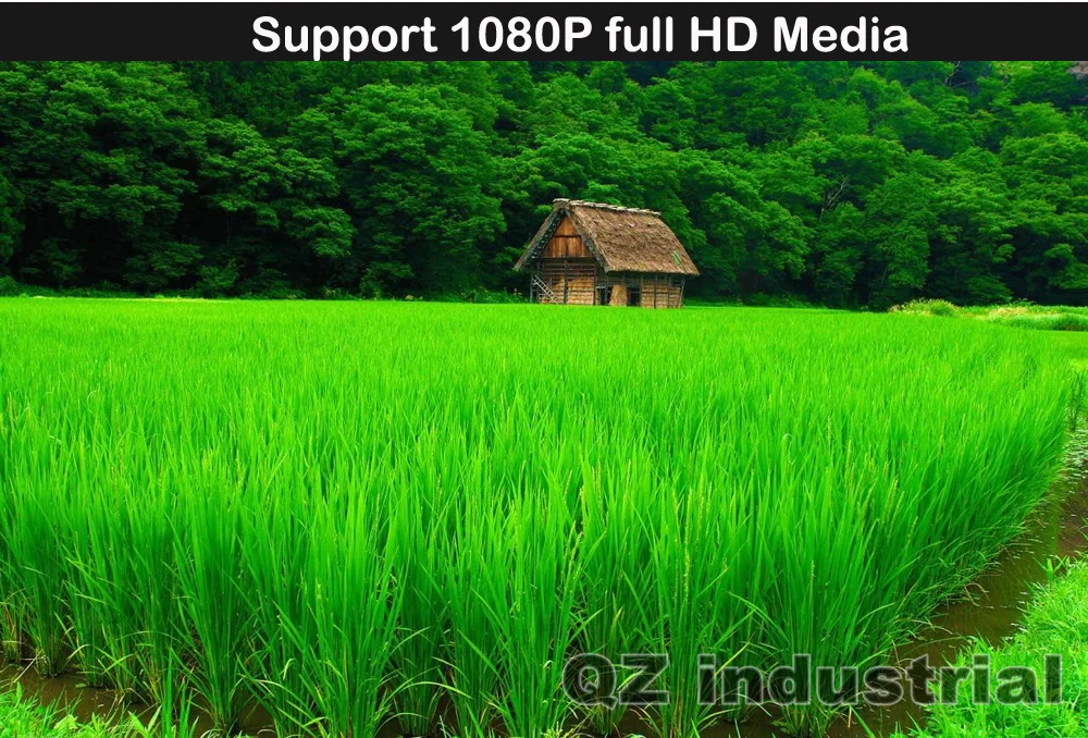 4-HD 1080P