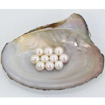 

Genuine Akoya Round Pearls 28 Colors Natural Loose Pearl Beads 7-8MM Undrilled Pearls Natural white Jewelry Making Beads LR025