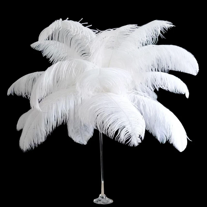 Samba 10 шт./партия распродажа цветные страусиные перья 45 см-50 см, Дешевые Свадебные фестивали паровые украшения 19