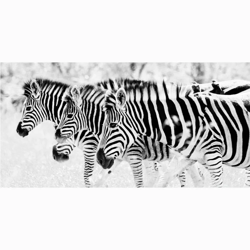 

Man Bath Shower Drying Towel Zebra Pattern Bamboo Fiber Bathroom Outdoor Travel Sport Beach Towels 70*140cm