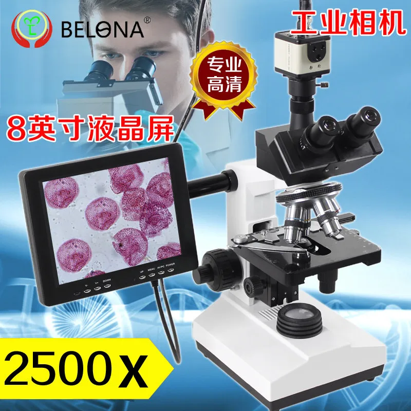 

BELONA Brand ultra-luxury 2500X Binocular USB Biological Microscope with CCD Camera and 8-inch LCD screen Digital Microscope